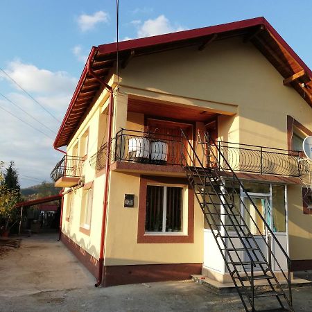 Casa Lidia Si Gogu 호텔 Budeasa Mare 외부 사진