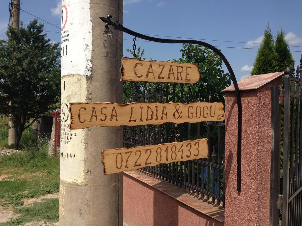 Casa Lidia Si Gogu 호텔 Budeasa Mare 외부 사진
