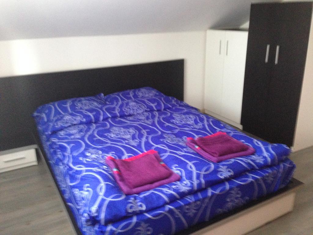 Casa Lidia Si Gogu 호텔 Budeasa Mare 외부 사진