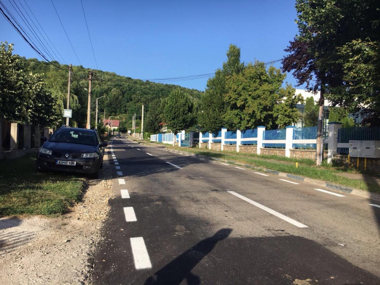Casa Lidia Si Gogu 호텔 Budeasa Mare 외부 사진