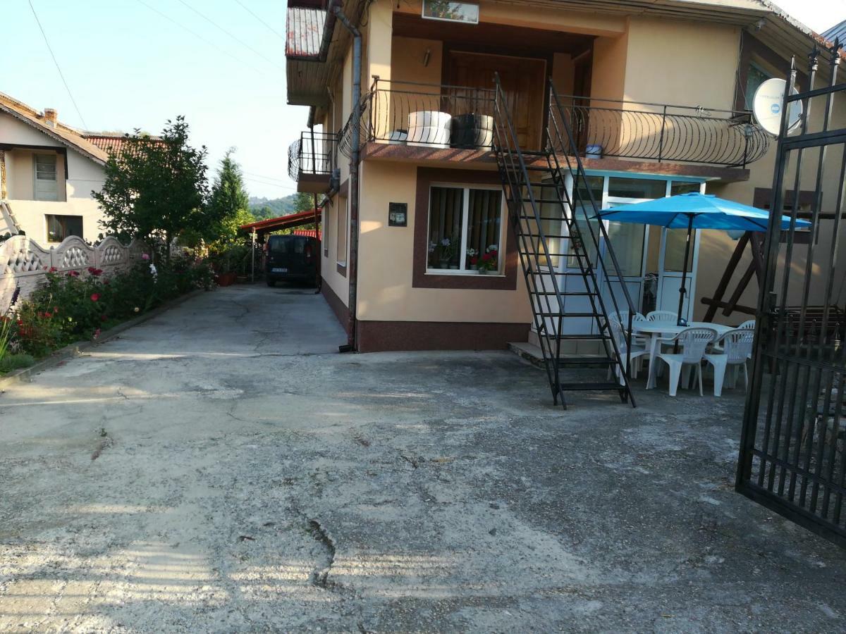 Casa Lidia Si Gogu 호텔 Budeasa Mare 외부 사진